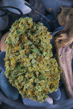 Single cannabis bud (jack herer strain) over pebbles background