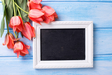 Empty blackboard and  fresh coral tulips on blue painted wooden