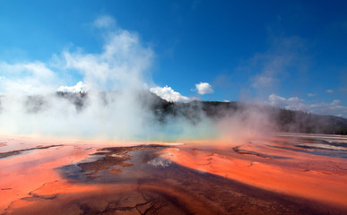 The Grand Prismatic Spring in the Midway Geyser Basin along the Firehole River in Yellowstone National Park in Wyoming USA