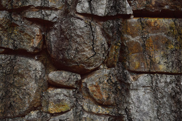 a crack in the stone wall