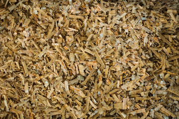Collect Sawdust photo taken in Bogor Indonesia