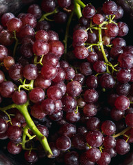 Red wine Grapes