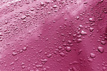 Rain drops on pink metal surface.