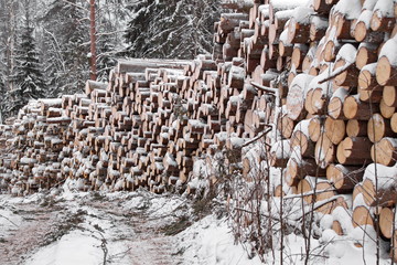 заготовка древесины зимой штабель леса 