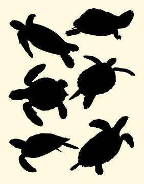 Turtles animal silhouette. Good use for symbol, logo, web icon, sign, or any design you want.