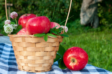 red apples in a basket