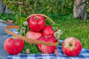 red apples in a basket