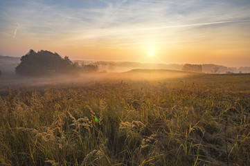 misty and sunny morning in the countryside