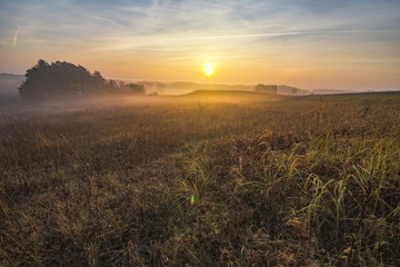 misty and sunny morning in the countryside