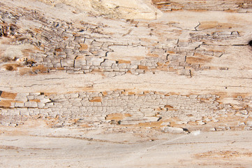 The texture of old wood background