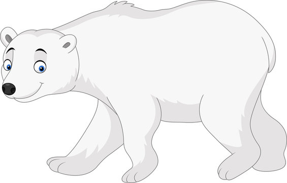 Cartoon polar bear isolated on white background