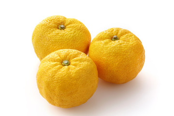 柚子　Yuzu. Japanese citron