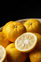柚子　Yuzu. Japanese citron