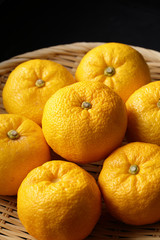 柚子　Yuzu. Japanese citron