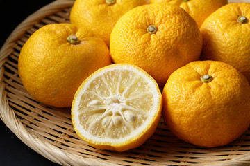 柚子　Yuzu. Japanese citron