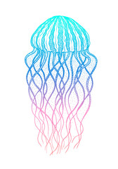 Jellyfish in line art style. Vector illustration. Design for coloring book. Ocean elements