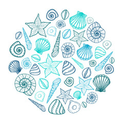 Poster with seashells and starfishes. Marine background. Hand drawn vector illustration in doodle style.