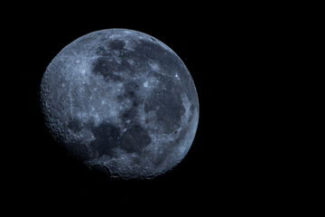 Luna Blu © domeniconardozza