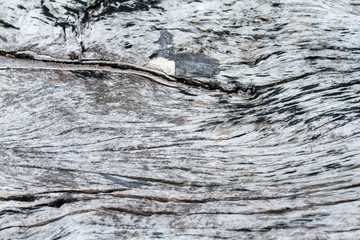 Old natural crack wood texture for background