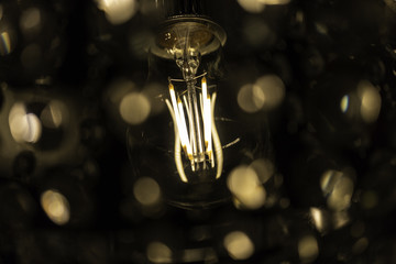 Light Bulb Close Up