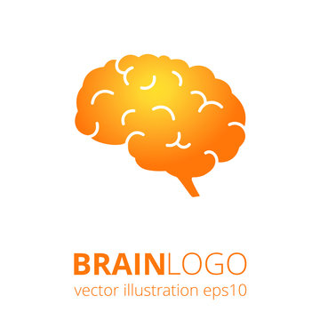 Orange brain logo silhouette on orange background. Top view. Vector human brain anatomy in flat style. 