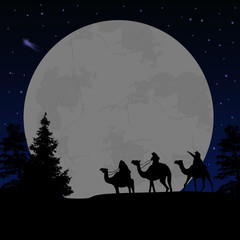 Three wise men or kings in front of full moon at night, vector illustration