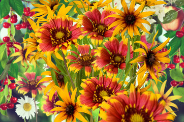 Image of flowers in the garden on a blurred background.