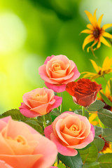 Beautiful flowers on a green background.