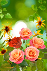Obraz na płótnie Canvas Beautiful flowers on a green background close-up