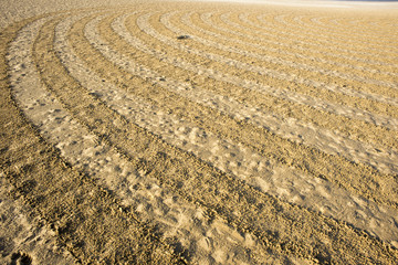 Circular design in raked on the beach
