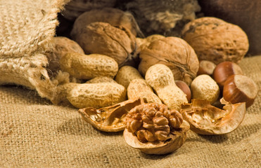 Big walnuts in a sack close-up.