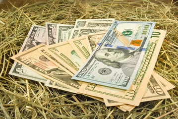 Image of dollars money on hay closeup