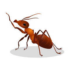 Cartoon realistic ant isolated on white. One leg raised up