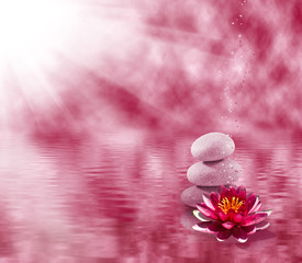 Image of stones and lotus flower on the water close-up,