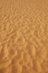 Fototapeta na wymiar Desert background close-up