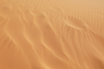 Fototapeta na wymiar Sand dune texture