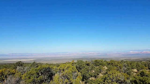 Pan view from a national forest, near north rim Grand canyon, in Arizona, United states of america