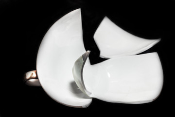 Shards of broken cup