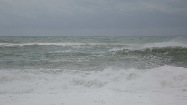 Onde di un Oceano tempestoso 