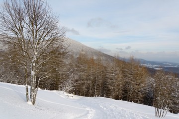 Obraz premium Randonnée dans les Vosges neige
