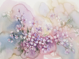 sakura bloom watercolor