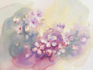 Fototapeta na wymiar sakura flower color watercolor