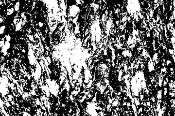 Fototapeta premium Tree skin texture black and white vector illustration
