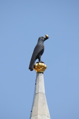 Raven holding a golden ring in Budapest, Hungary