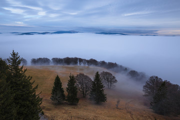 Misty Cloudy Foggy Schauinsland Freiburg Germany