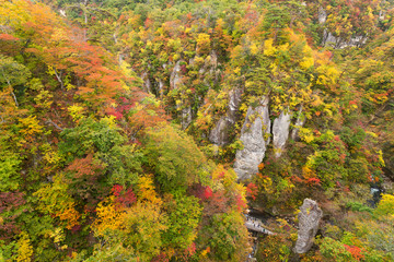 Fototapeta premium Naruko Gorge Valley with colorful foliage