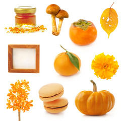 orange items, color flat layout
