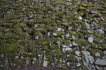 岩壁　藻　背景