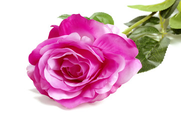 Fototapeta premium Artificial flowers for design and home decoration - rose isolated on white background