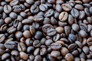 coffee beans